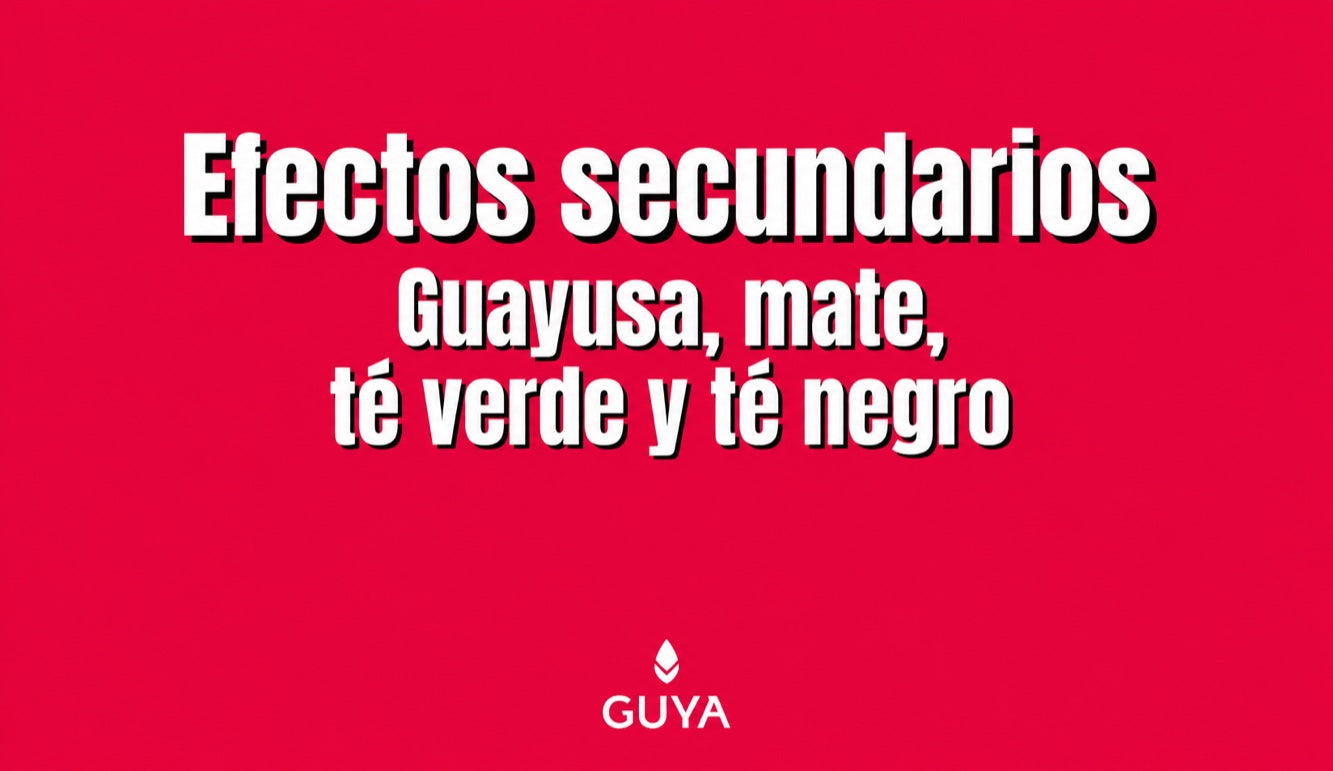 Efectos secundarios del té de guayusa, el mate, el té verde y el té negro