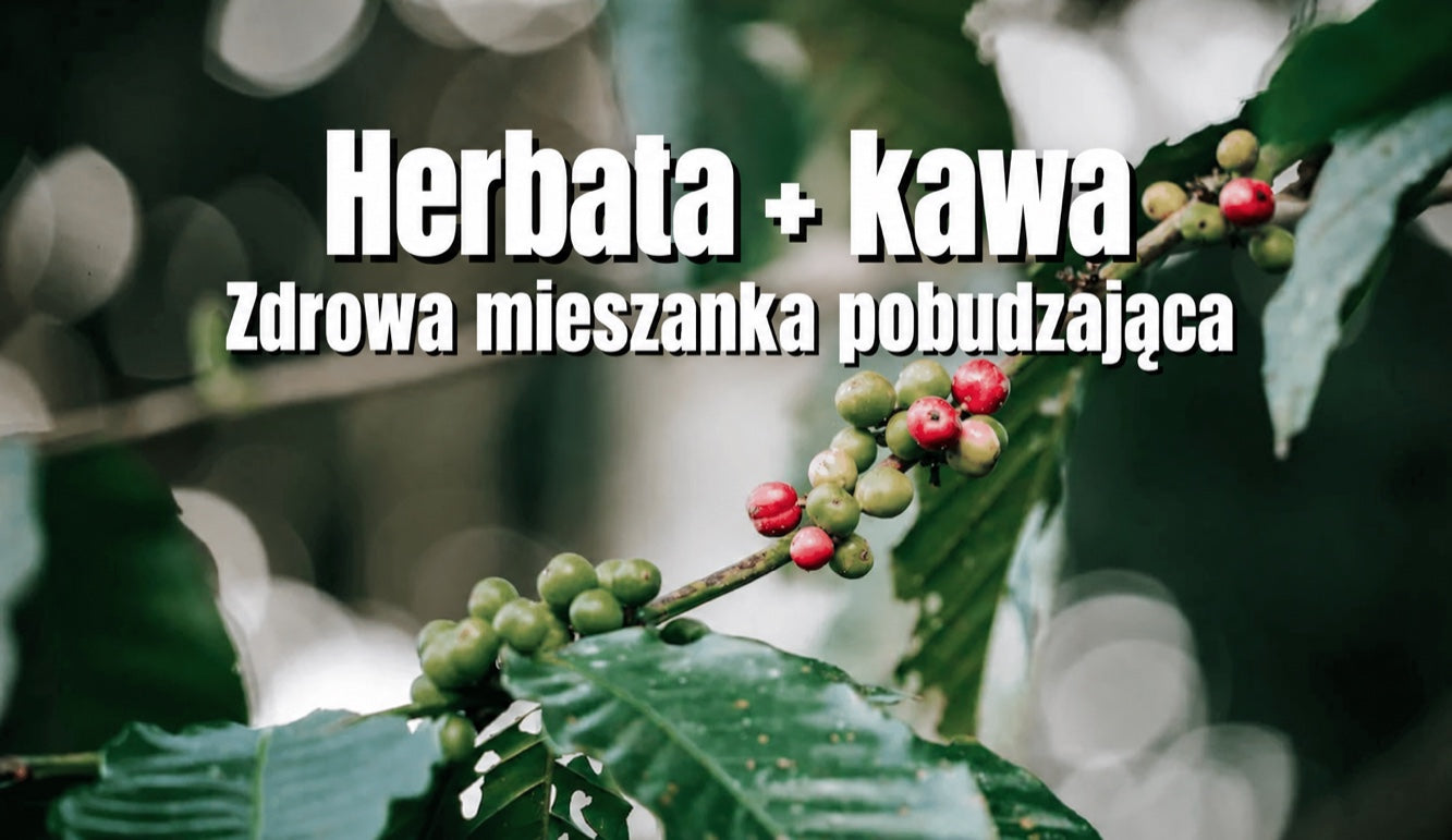 Herbata z kawą — guayusa i kawa jako zdrowy napój pobudzający
