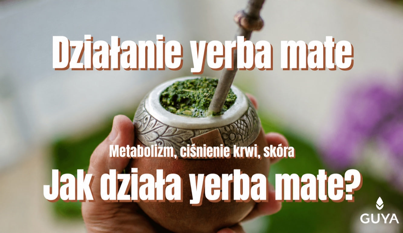 Działanie mate — ciśnienie krwi, skóra i odchudzanie