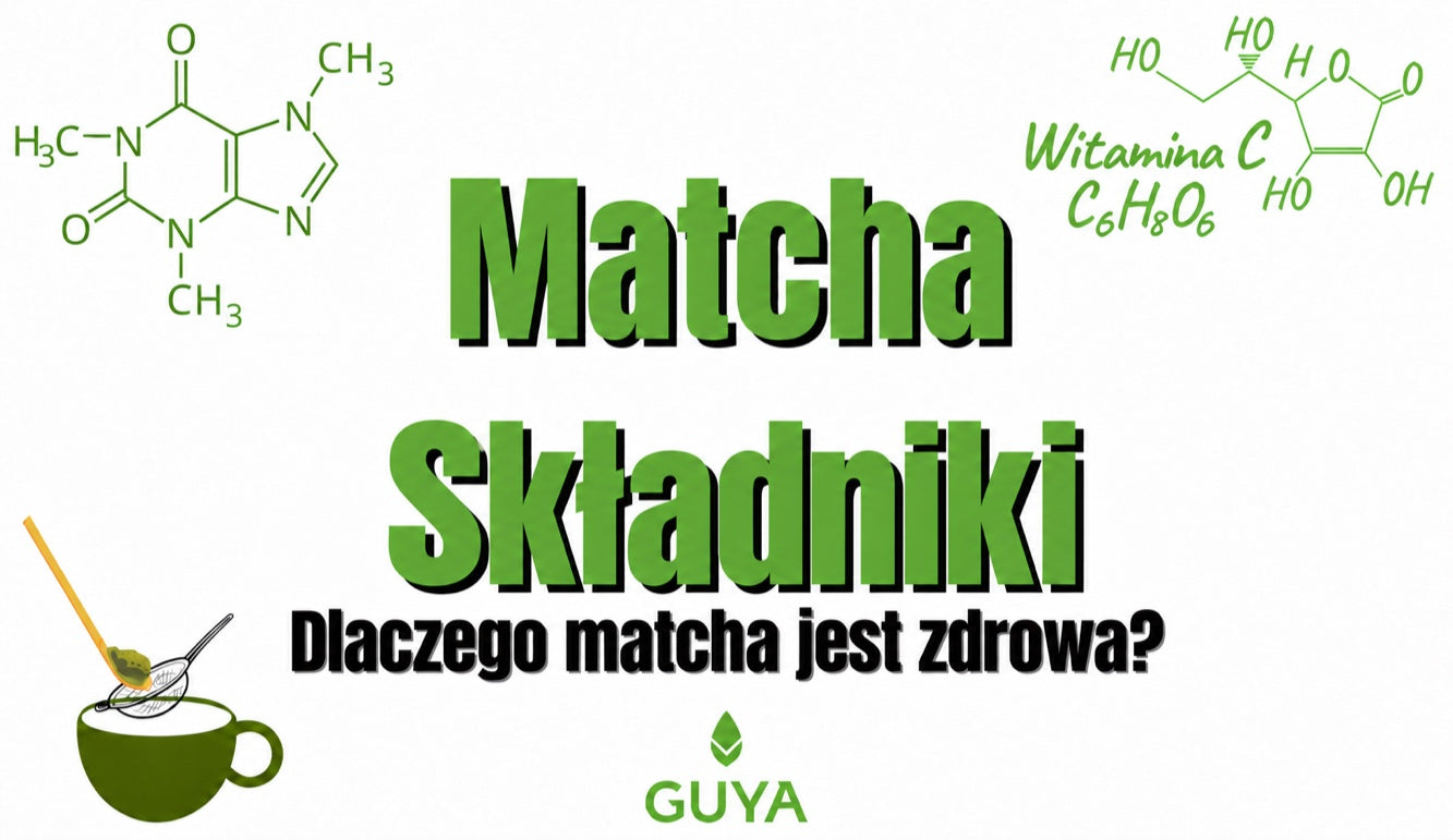 Składniki matchy — dlaczego matcha jest zdrowa?