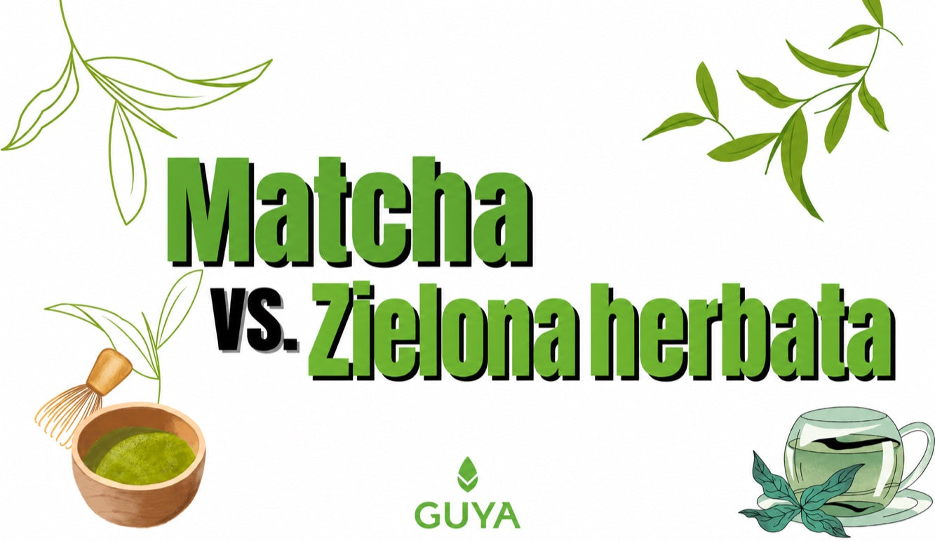 Matcha a zielona herbata — co wybrać?