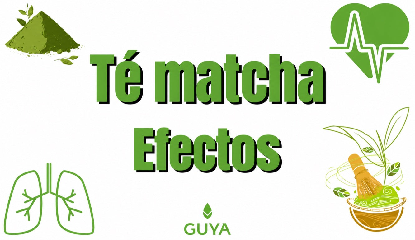 Efectos del matcha: componentes y contenido de cafeína