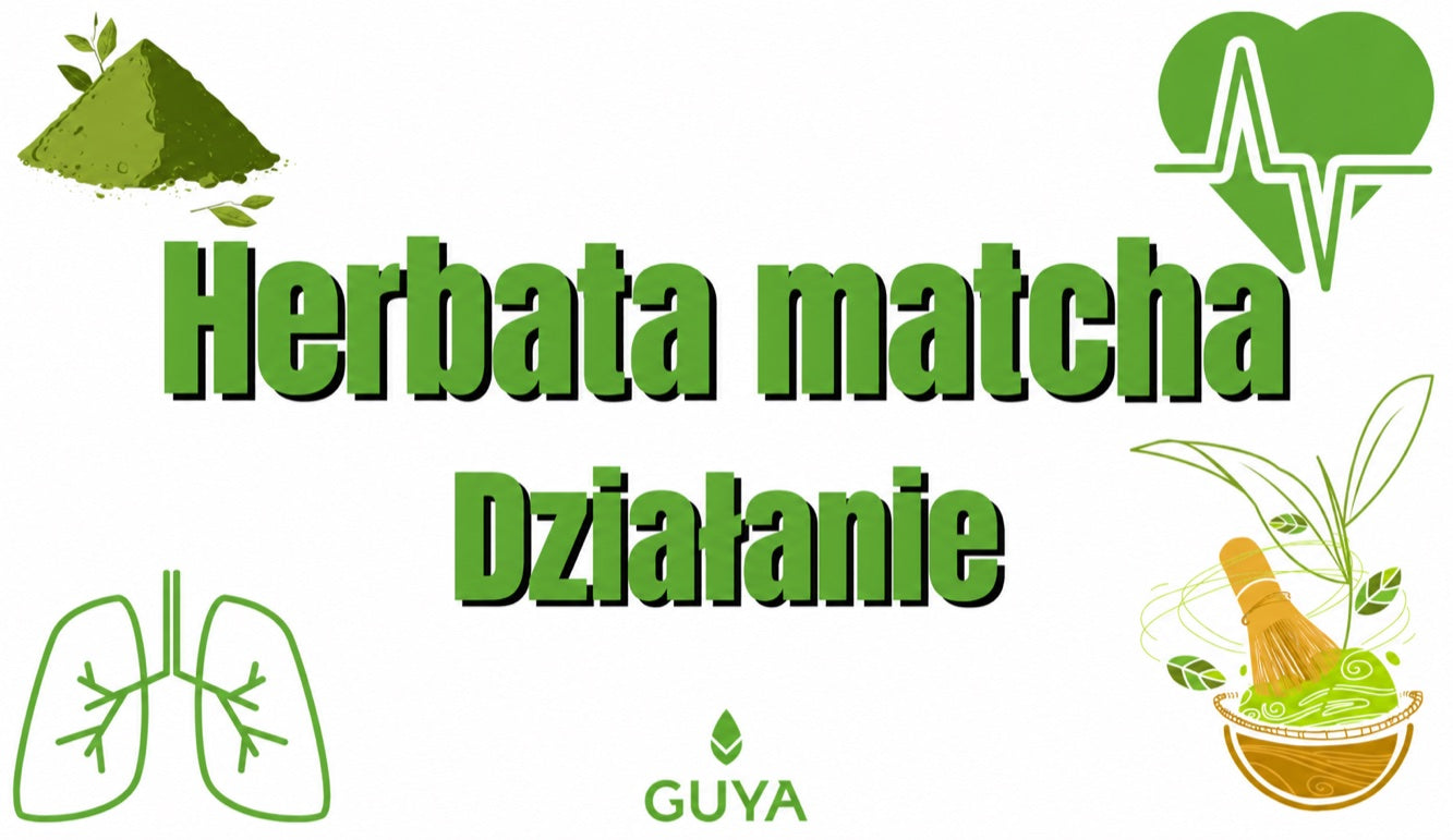 Działanie matchy — składniki i zawartość kofeiny