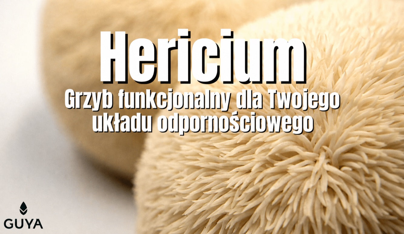 Hericium — soplówka jeżowata, zdrowy grzyb wspierający odporność