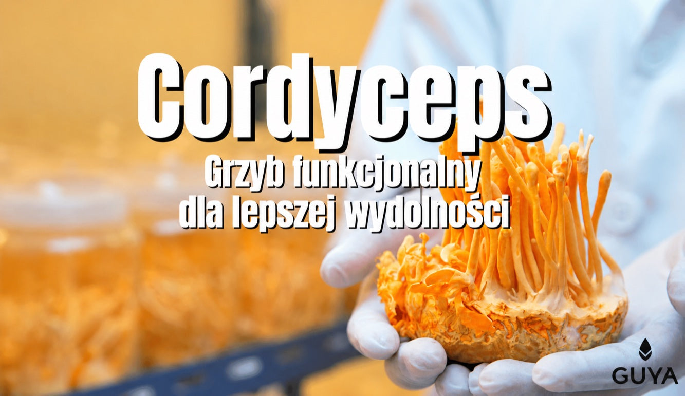Cordyceps — przegląd właściwości grzyba witalnego i jego działania