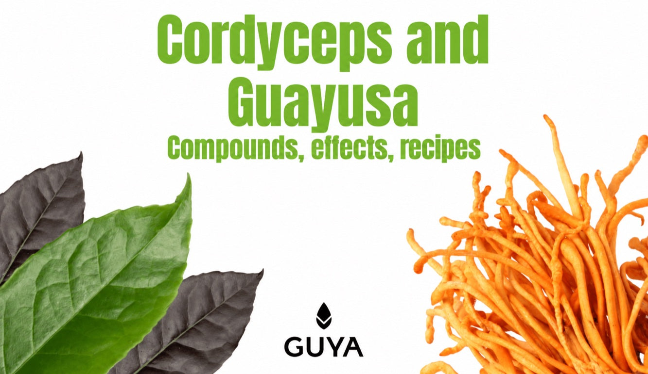 Cordyceps & Guayusa: a combination for better memory performance