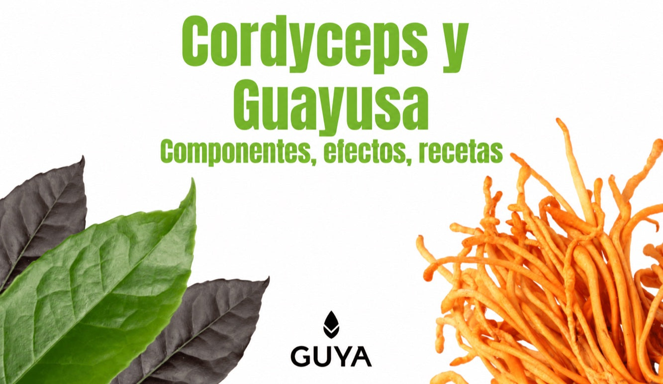 Cordyceps y guayusa: una combinación para mejorar el rendimiento de la memoria