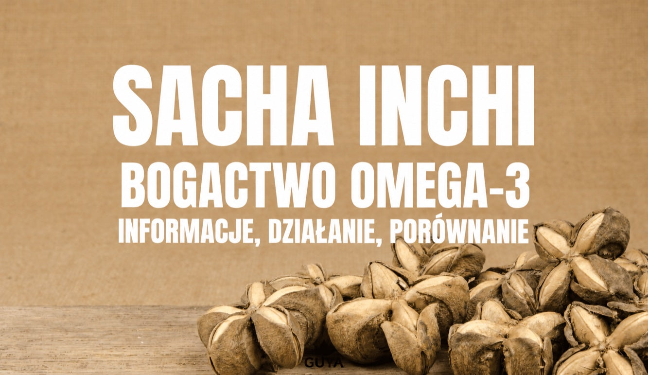 Sacha inchi: nasiona, olej i proszek — informacje, działanie, omega 3, 6, 9