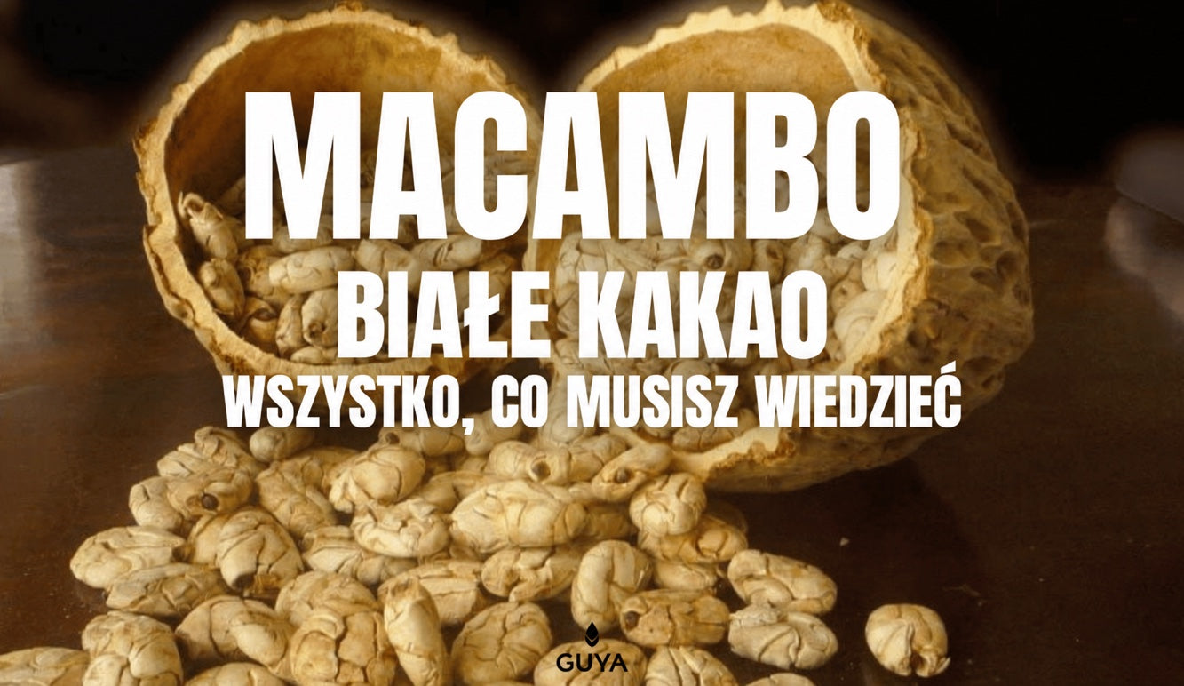 Macambo, białe kakao — wszystko, co warto wiedzieć o CACAO BLANCO