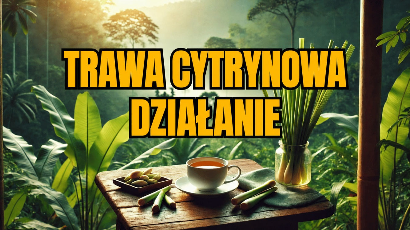 Napar z trawy cytrynowej: działanie, właściwości lecznicze, psychika i skutki uboczne