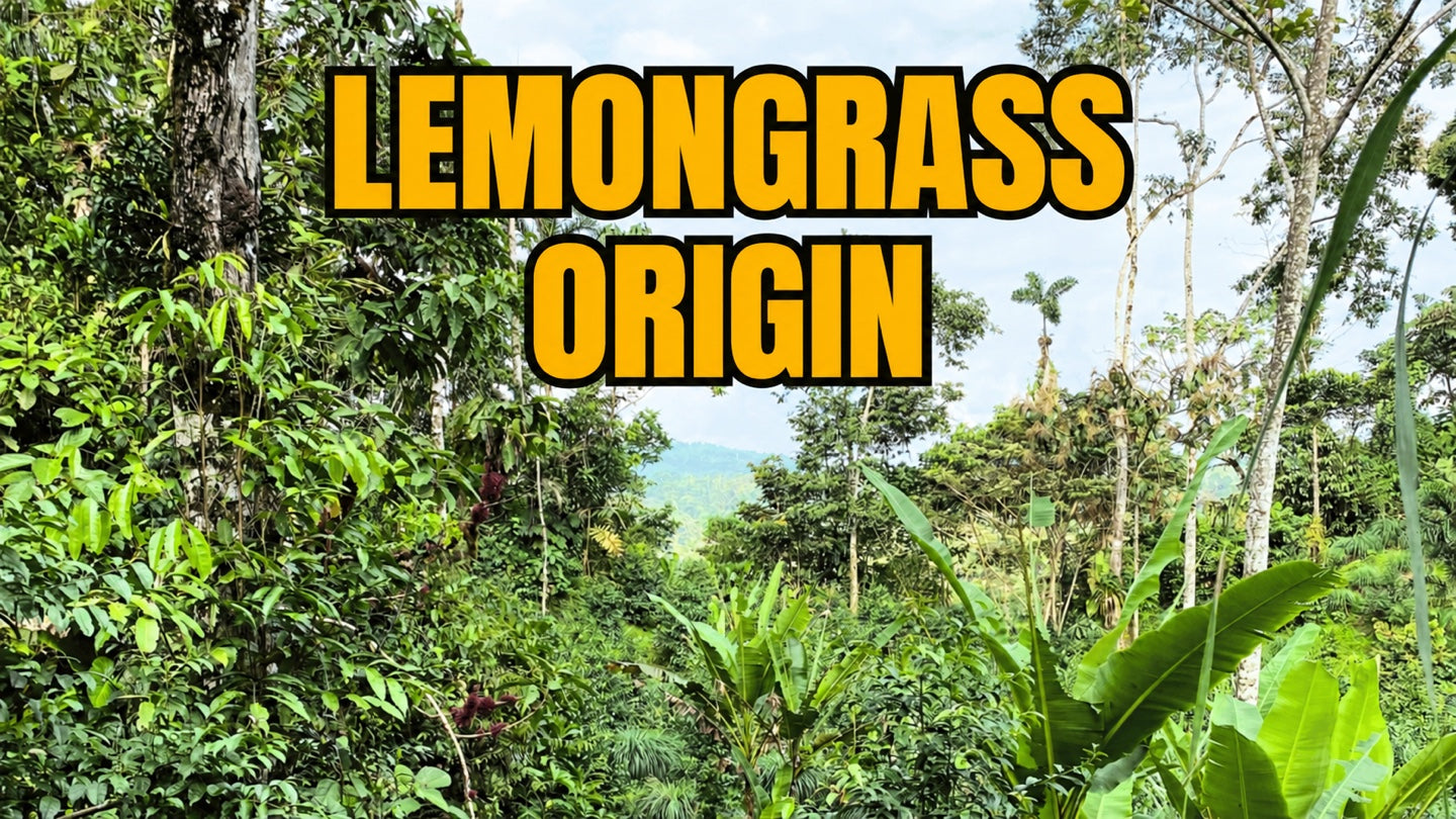 Where does lemongrass come from? Origins of this aromatic herb