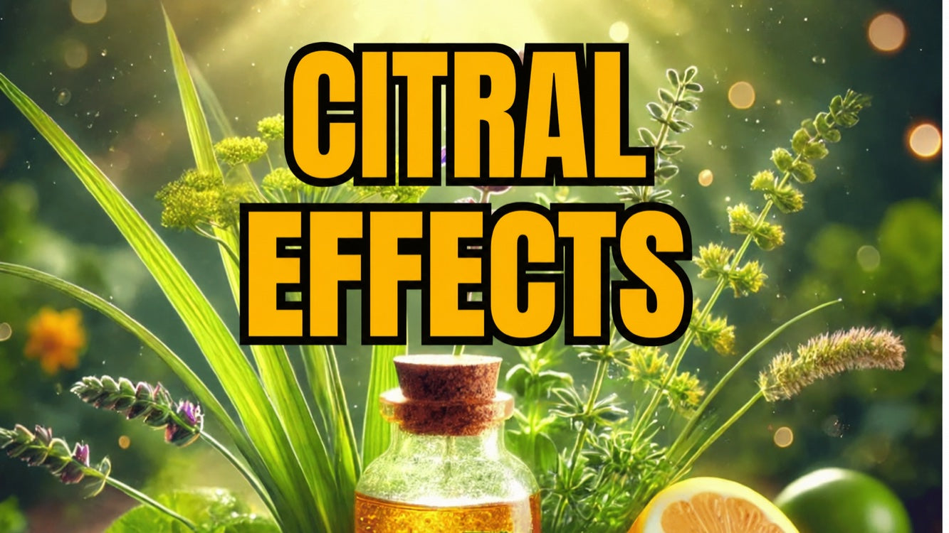 Citral effects: all about this compound and its sources