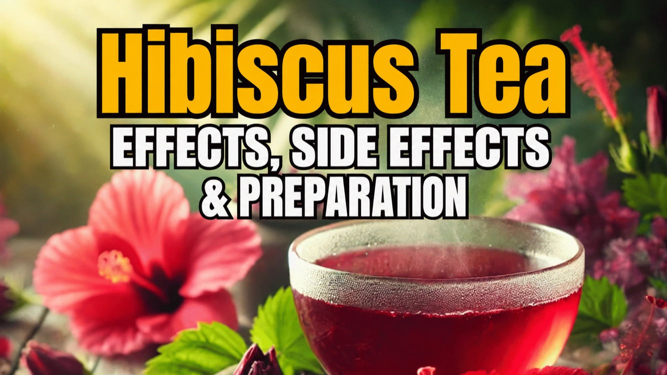 Hibiscus tea: effects, side effects & preparation