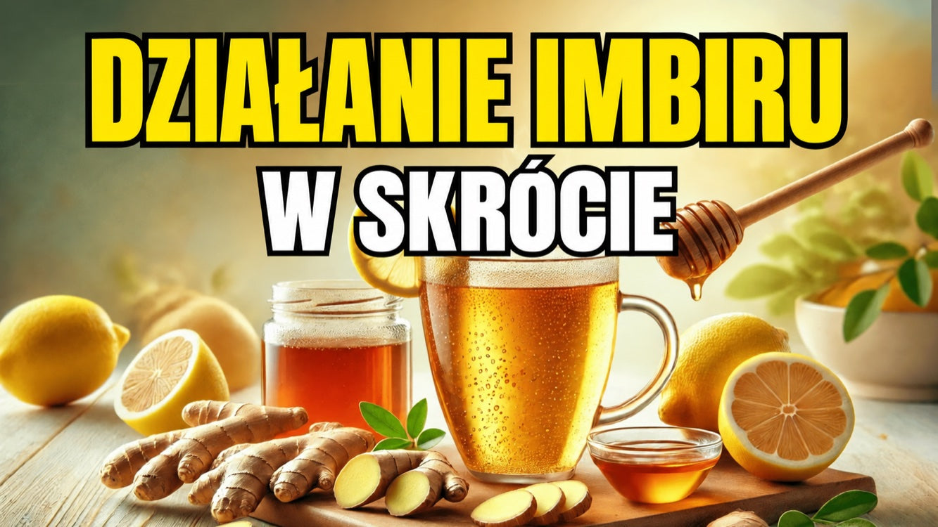 Imbir — działanie, zalety i skutki uboczne w skrócie