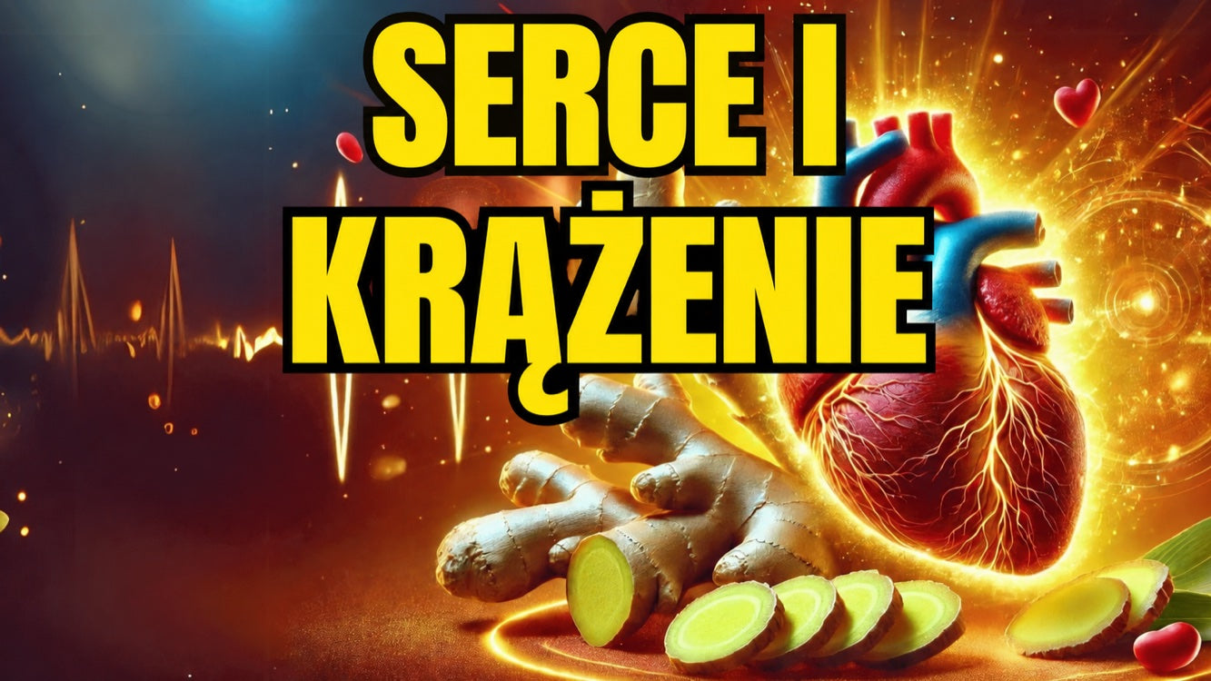 Imbir dla serca i ciśnienia krwi — wpływ na układ krążenia