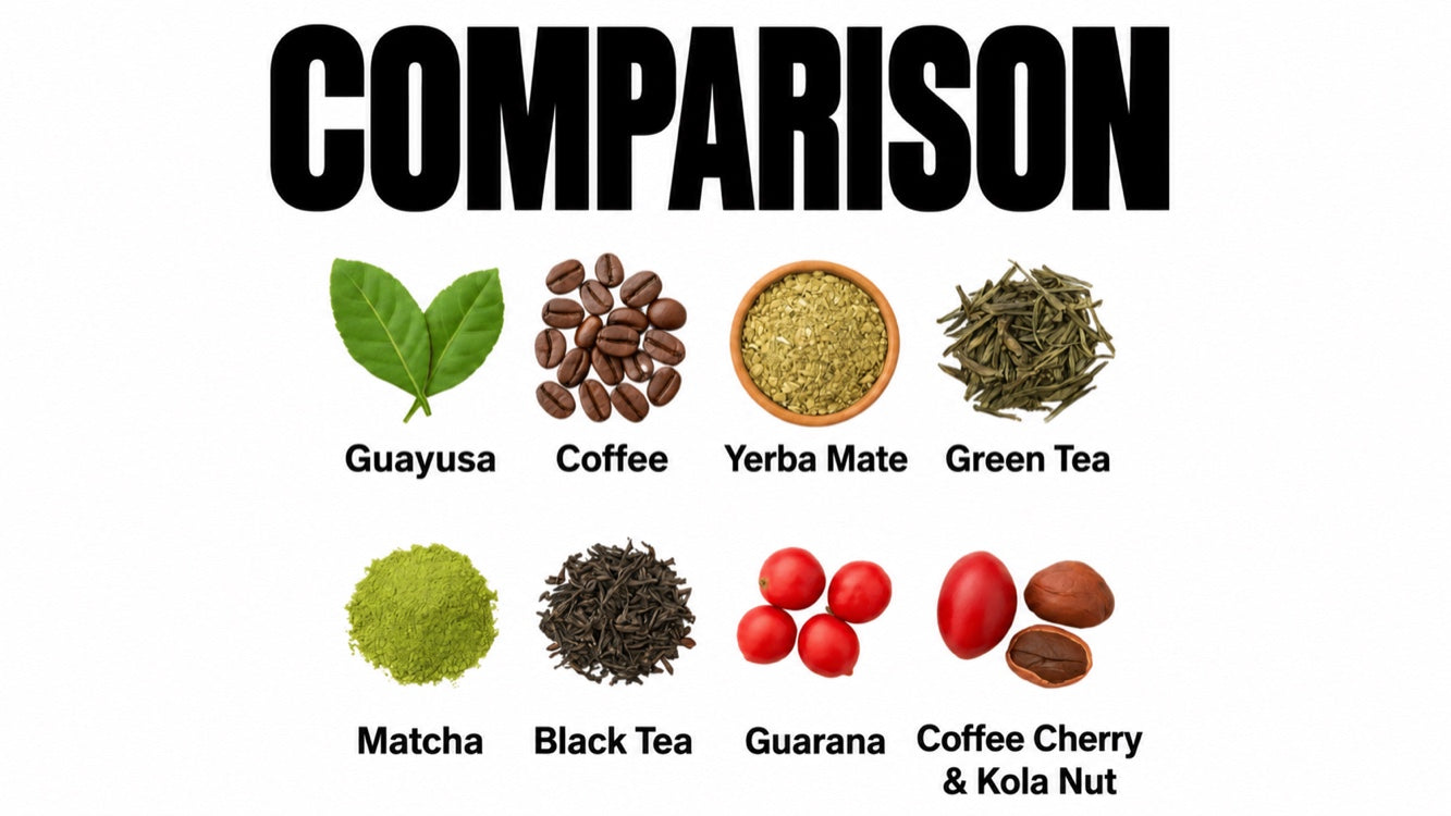 Caffeine content compared: which natural source is strongest?
