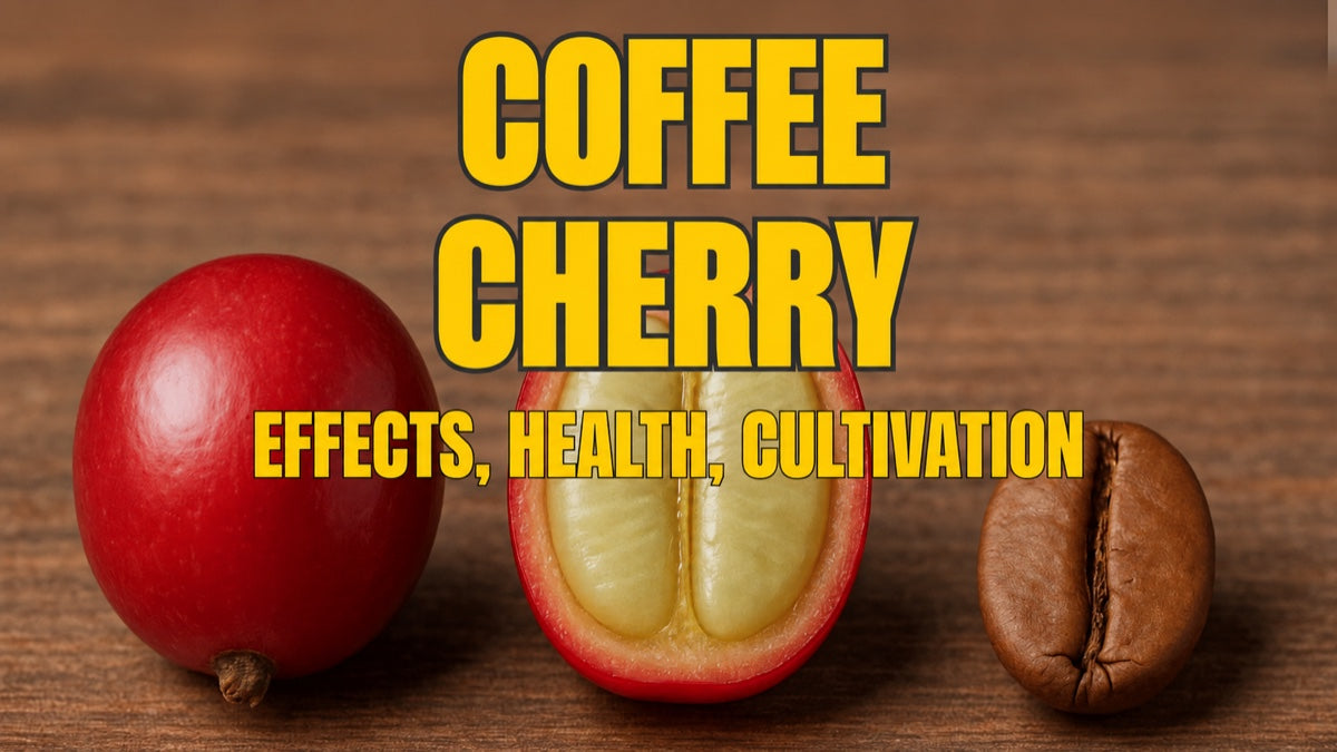 Coffee cherry, cascara & coffee fruit: taste, effects & sustainability