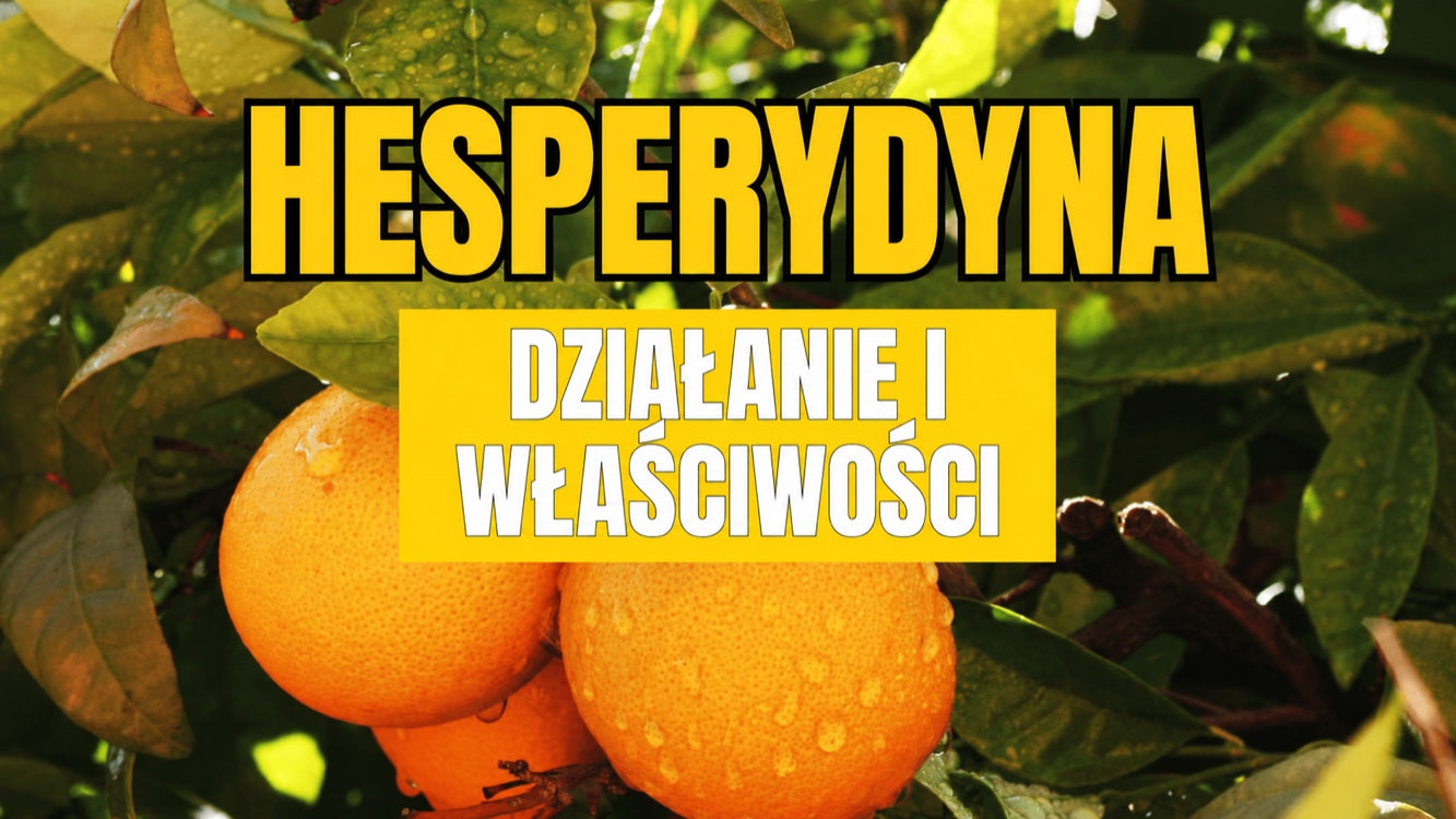 Działanie hesperydyny — flawonoid z pomarańczy chroni mózg, serce i skórę
