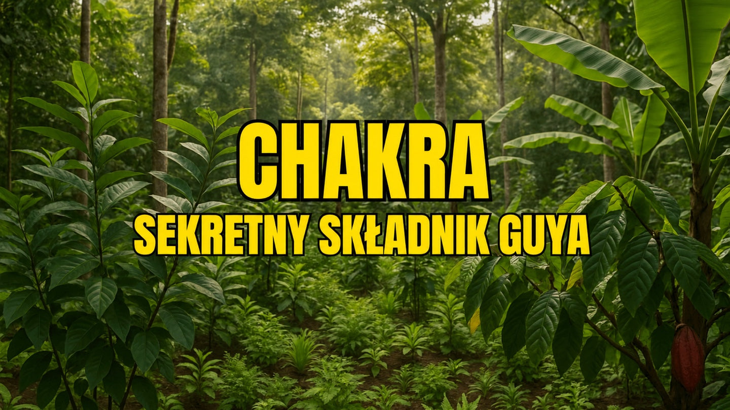 Czym jest chakra? Sekretny składnik GUYA, który ratuje las deszczowy