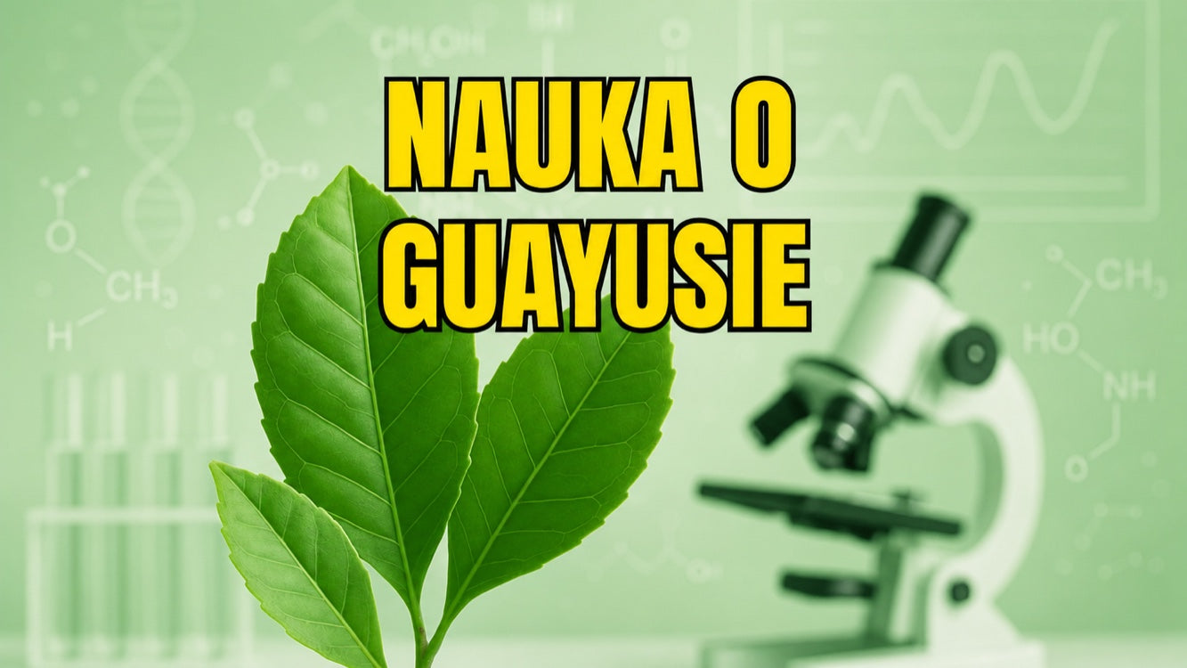 Nauka o guayusie — badania nad amazońskim superfood
