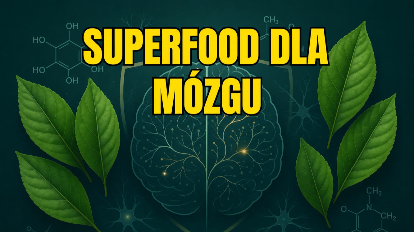 Neuroprotekcyjne właściwości guayusy — amazońskie superfood dla mózgu