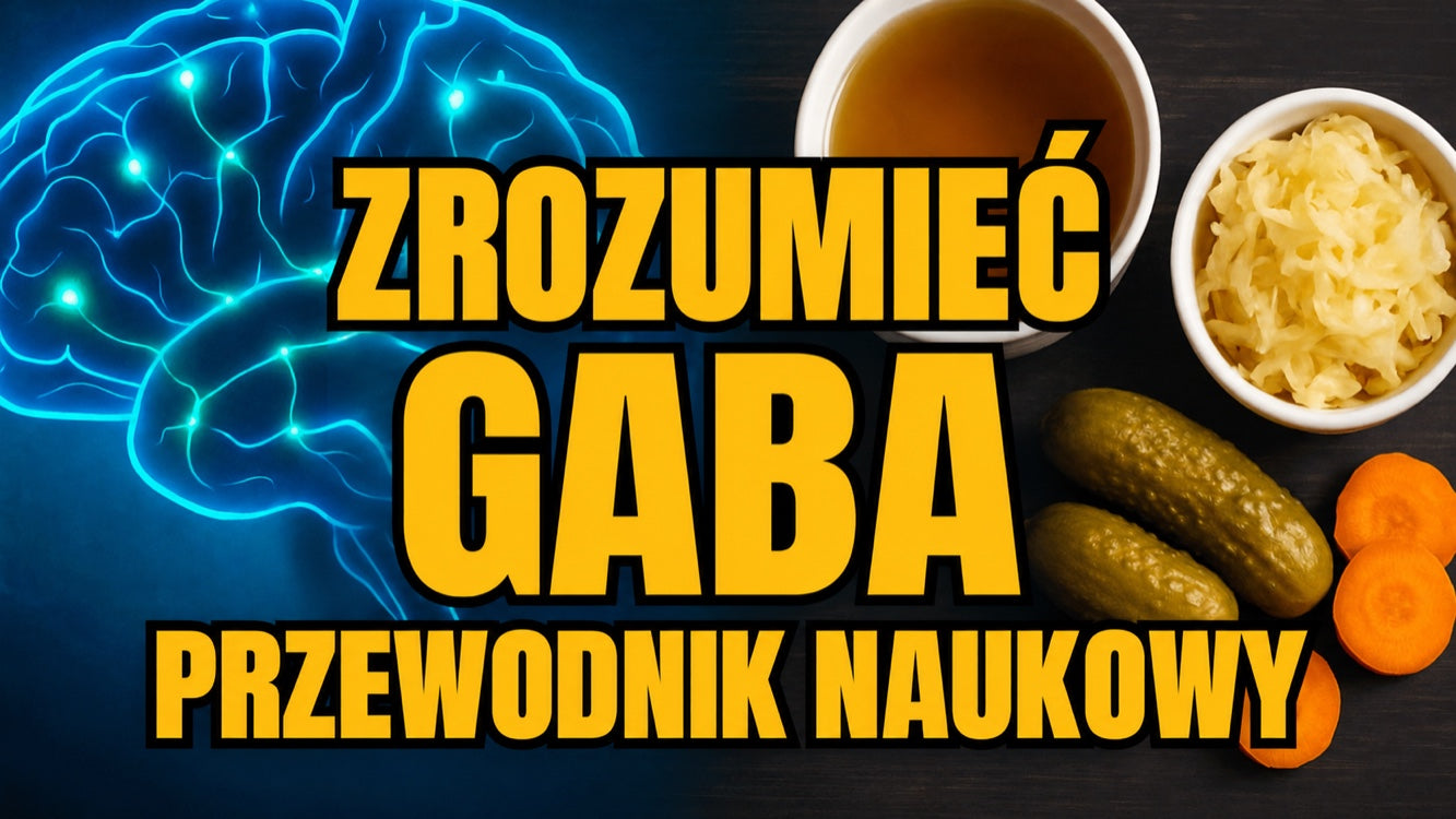 GABA — kompleksowy przewodnik po działaniu, barierze krew–mózg i fermentowanej żywności