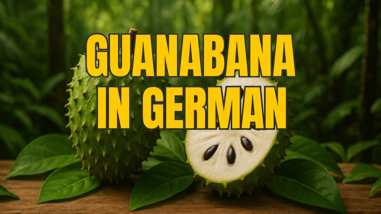 Guanabana in German: All About Soursop—Taste, Uses and Risks