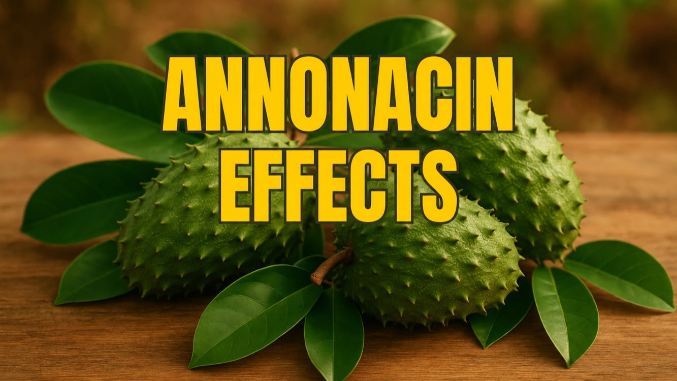 Annonacin Effects: The Guanabana Paradox of Cancer and Parkinson’s