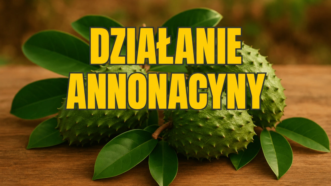 Działanie annonacyny — paradoks guanabany, raka i choroby Parkinsona wyjaśniony