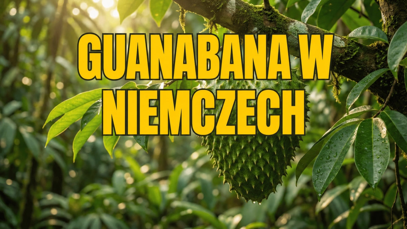 Kup susz guanabany — zrównoważony, wysokiej jakości i prosto z Ekwadoru