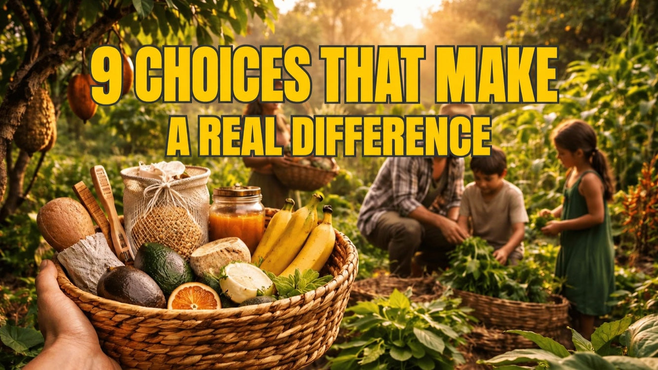 Protect the rainforest in everyday life: 9 purchasing choices that make a real difference