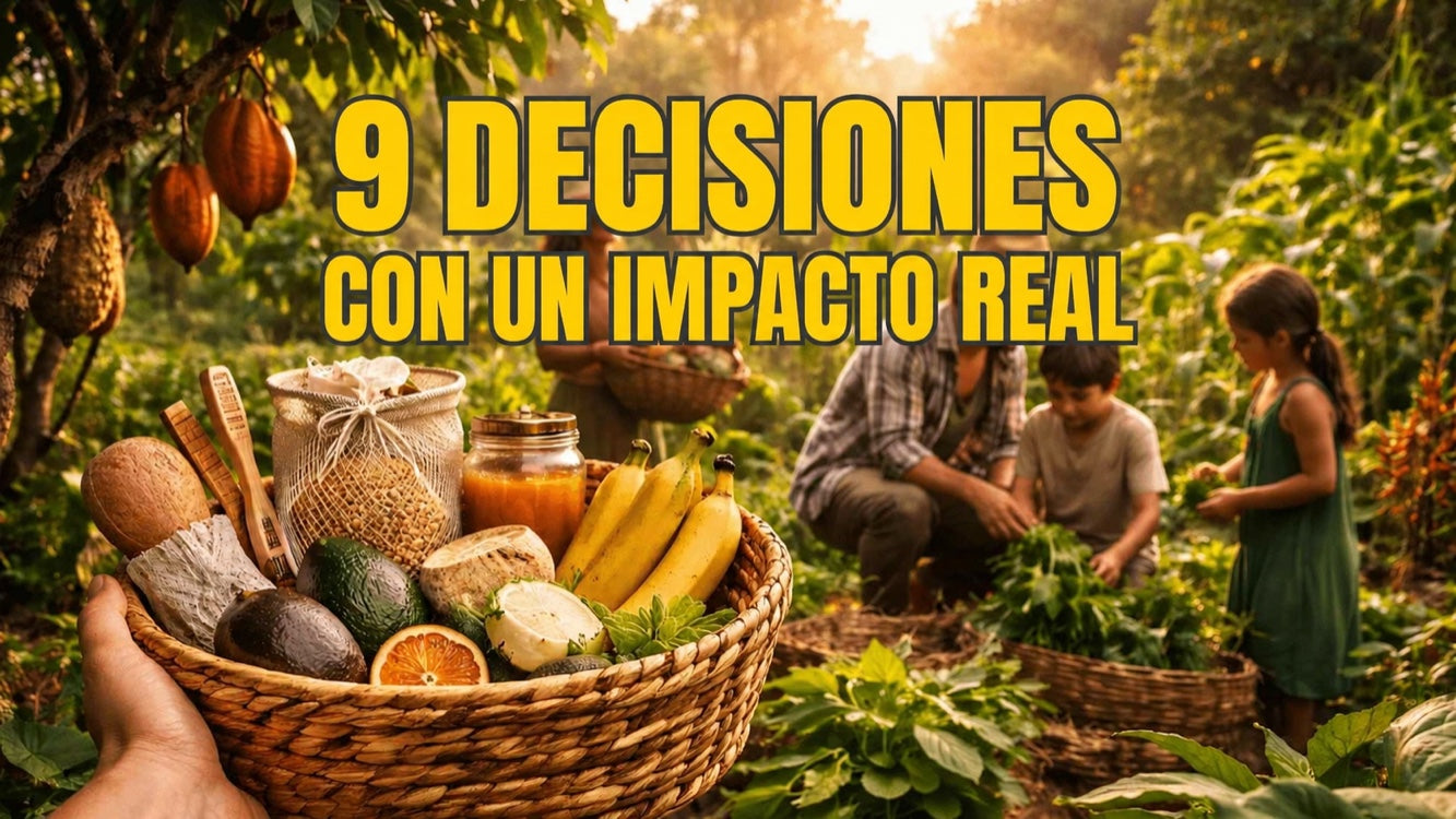 Proteger la selva tropical en el día a día: 9 decisiones de compra que marcan la diferencia