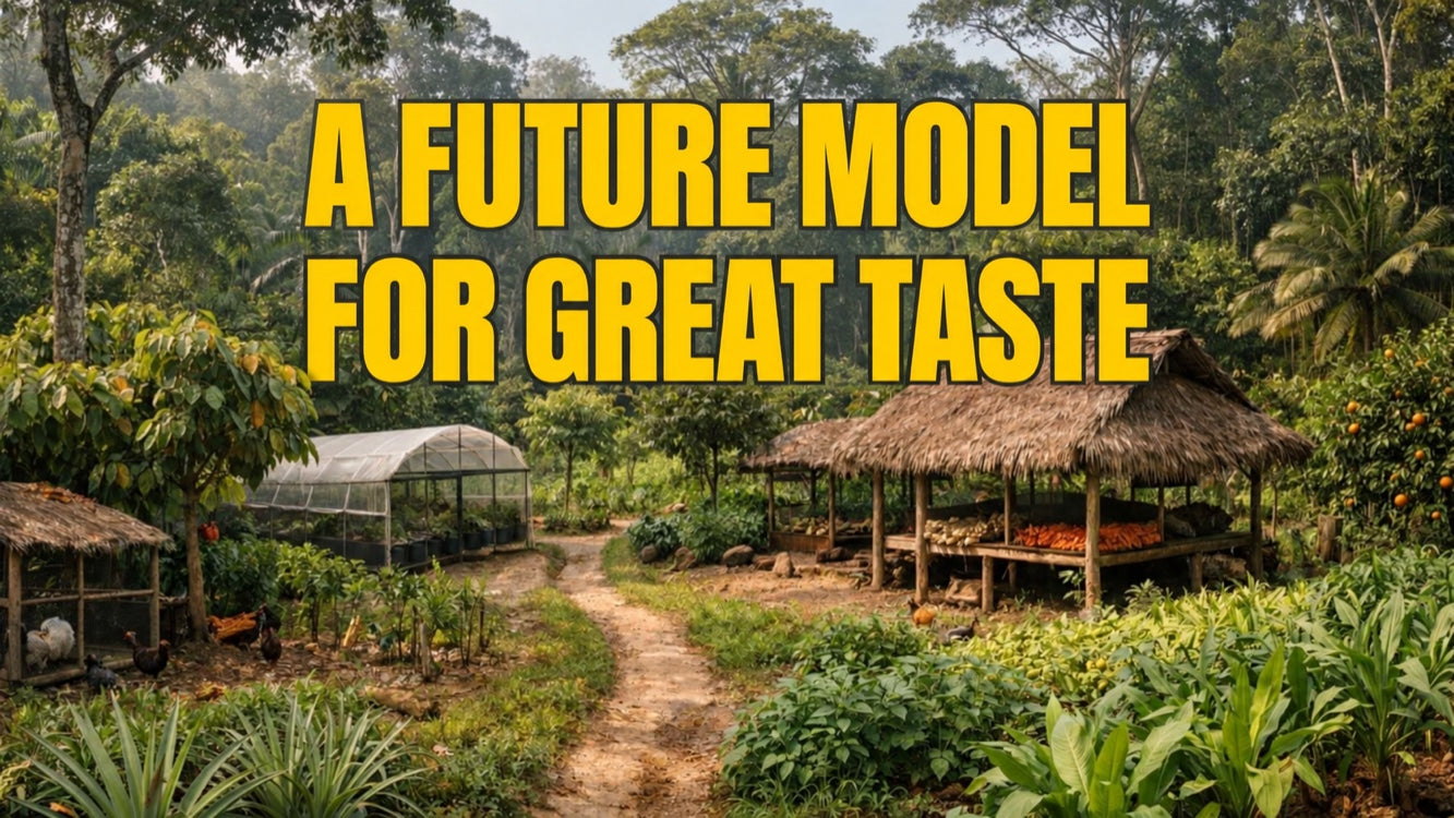 Forest gardens, not monocultures: A model for the future of food, climate and farming families