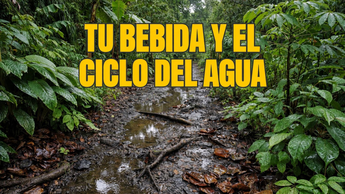 Del ciclo del agua a la vida cotidiana: qué tiene que ver tu bebida con el clima