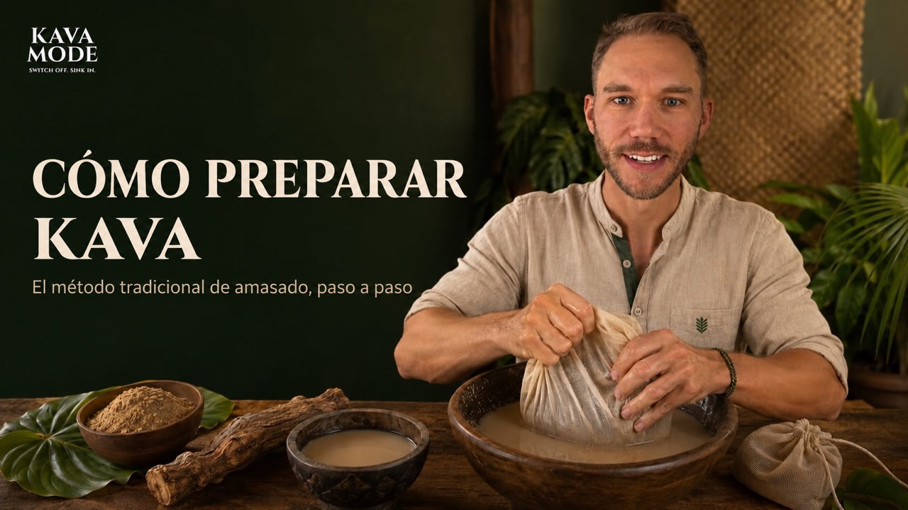 Cómo preparar kava correctamente: guía y vídeo para tu ritual nocturno