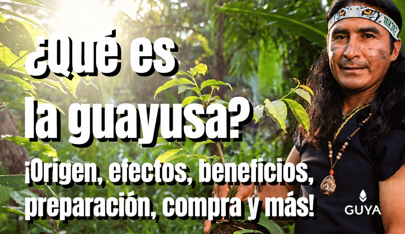 ¿Qué es el té de guayusa? Efectos, beneficios, preparación y dónde comprarlo