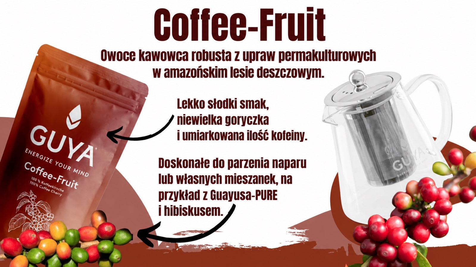 Wiśnie kawowca – napar z owoców kawowca