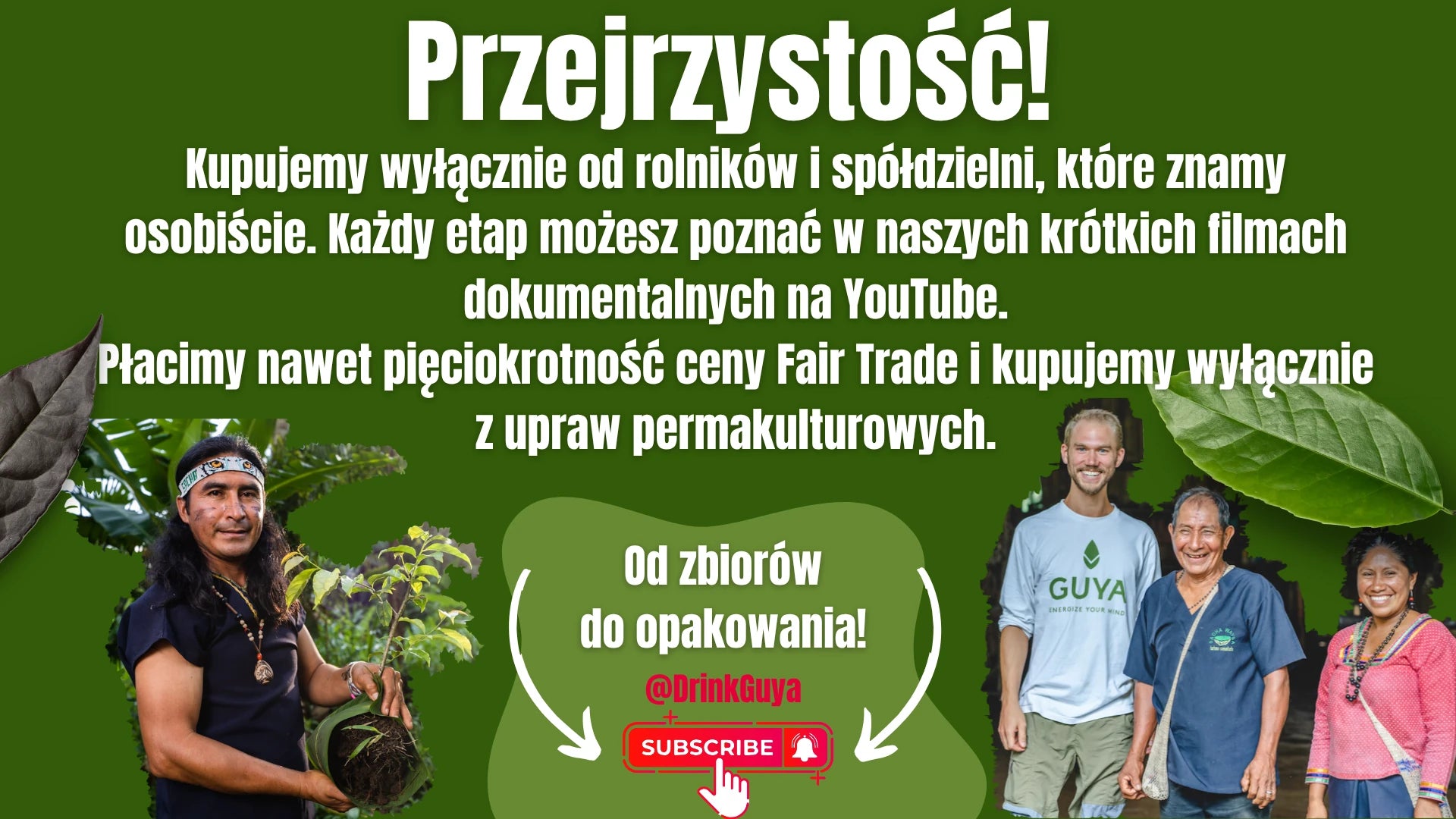 Przejrzystość GUYA: nasi partnerzy, uprawa permakulturowa i droga od zbiorów do opakowania.