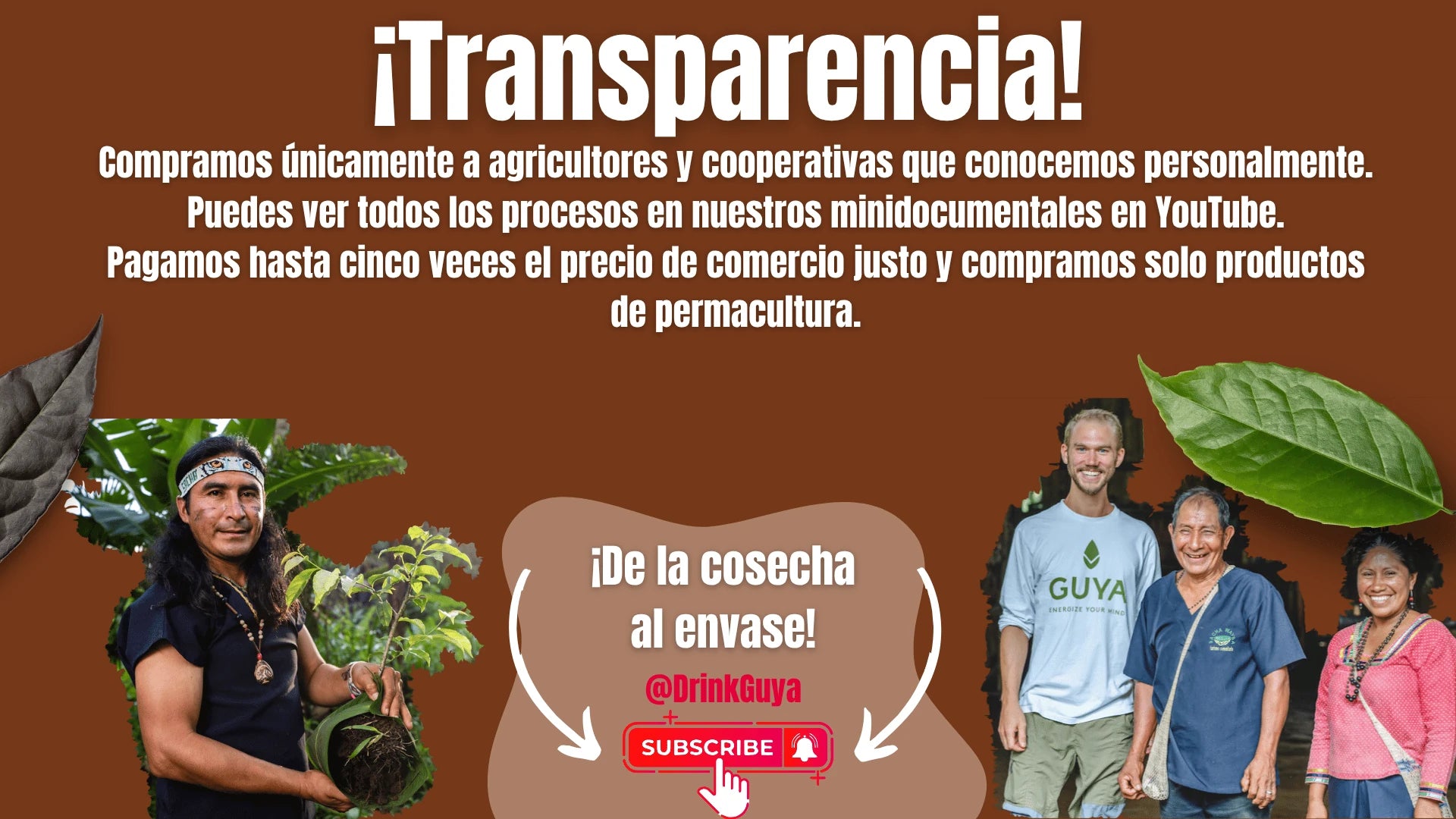Transparencia GUYA: Nuestros agricultores, la permacultura y el camino de la cosecha al envase.