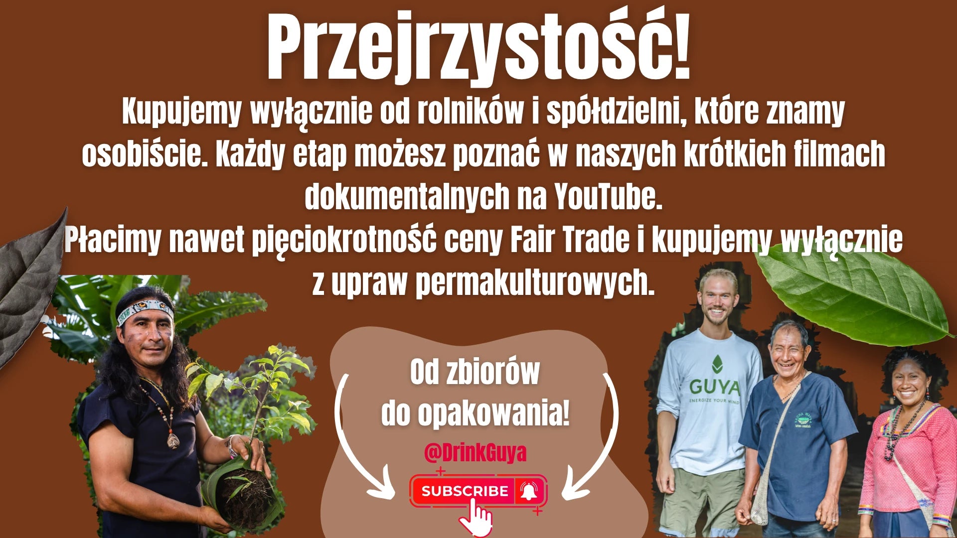 Przejrzystość GUYA: nasi partnerzy, uprawa permakulturowa i droga od zbiorów do opakowania.