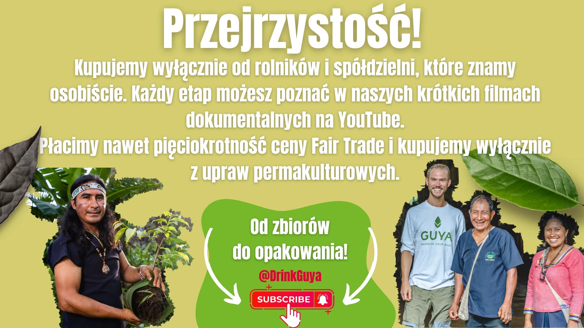 Przejrzystość GUYA: nasi partnerzy, uprawa permakulturowa i droga od zbiorów do opakowania.