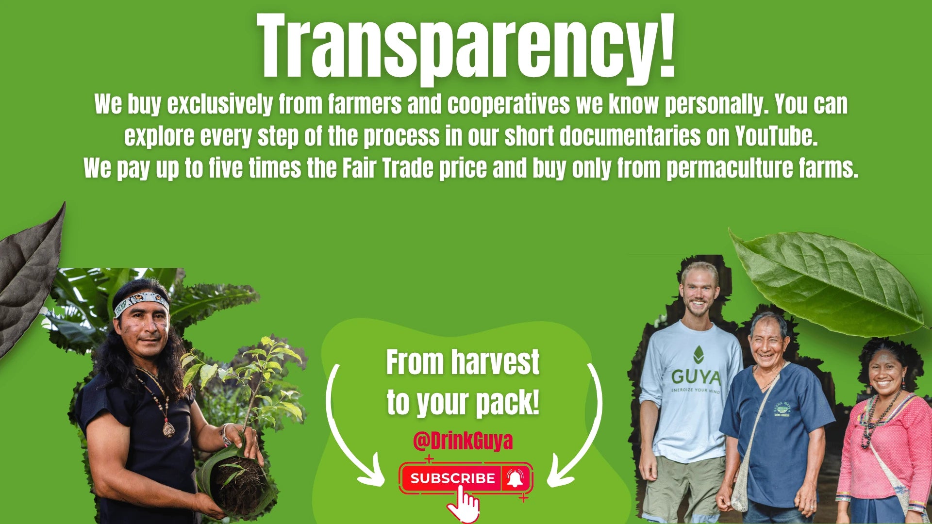 GUYA transparency: Our farming partners, permaculture and the journey from harvest to your pack.