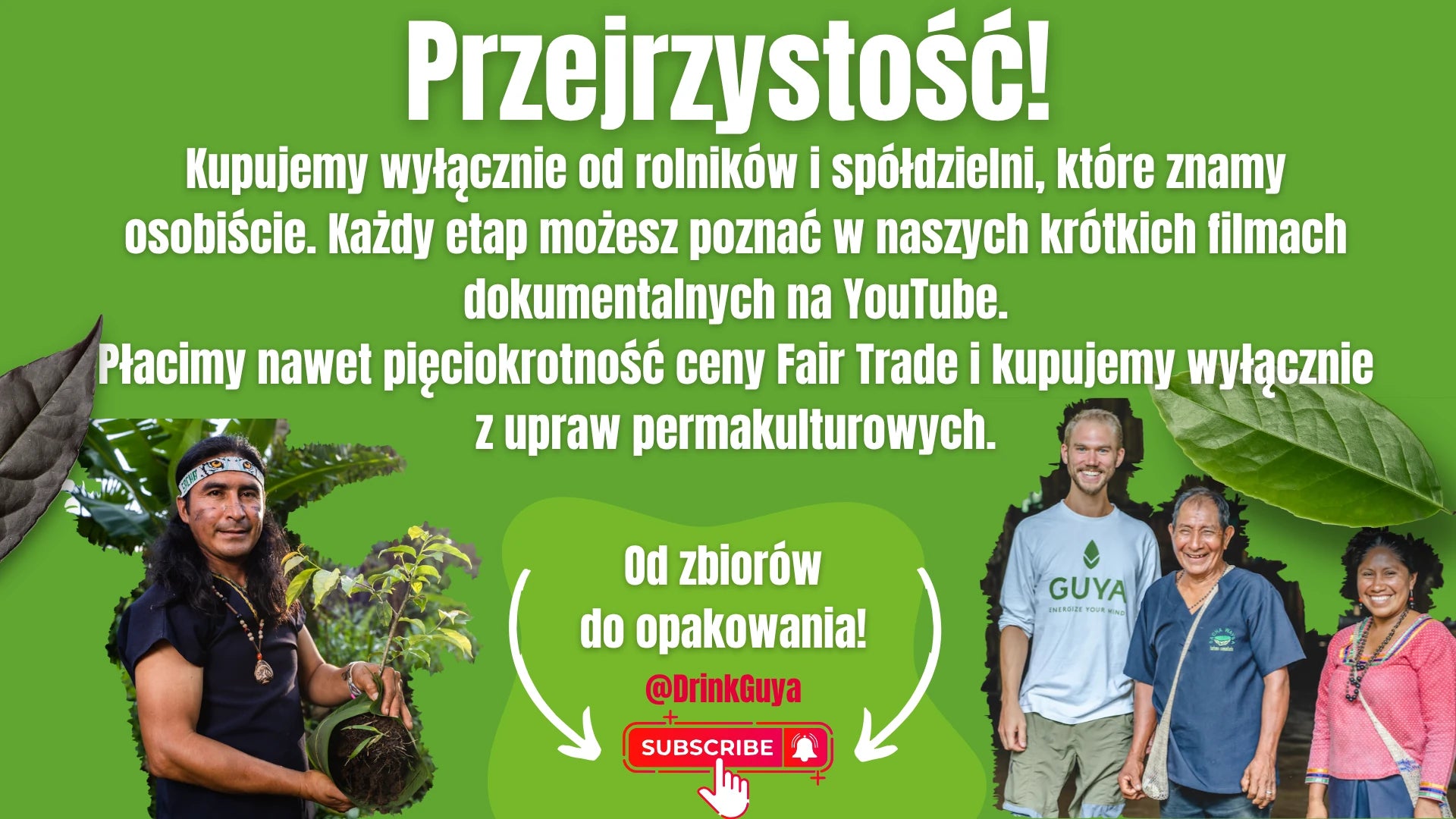 Przejrzystość GUYA: nasi partnerzy, uprawa permakulturowa i droga od zbiorów do opakowania.
