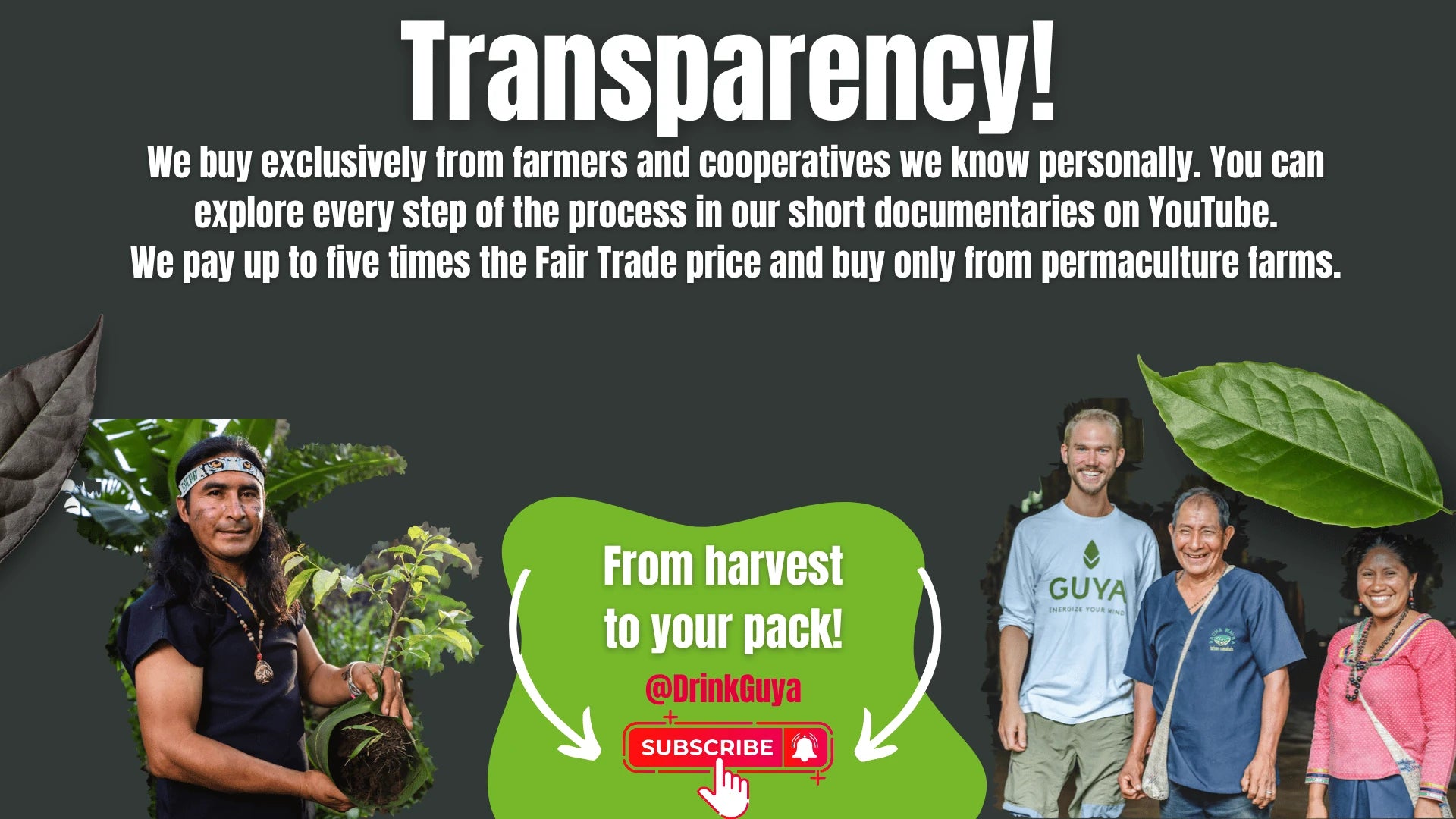 GUYA transparency: Our farming partners, permaculture and the journey from harvest to your pack.