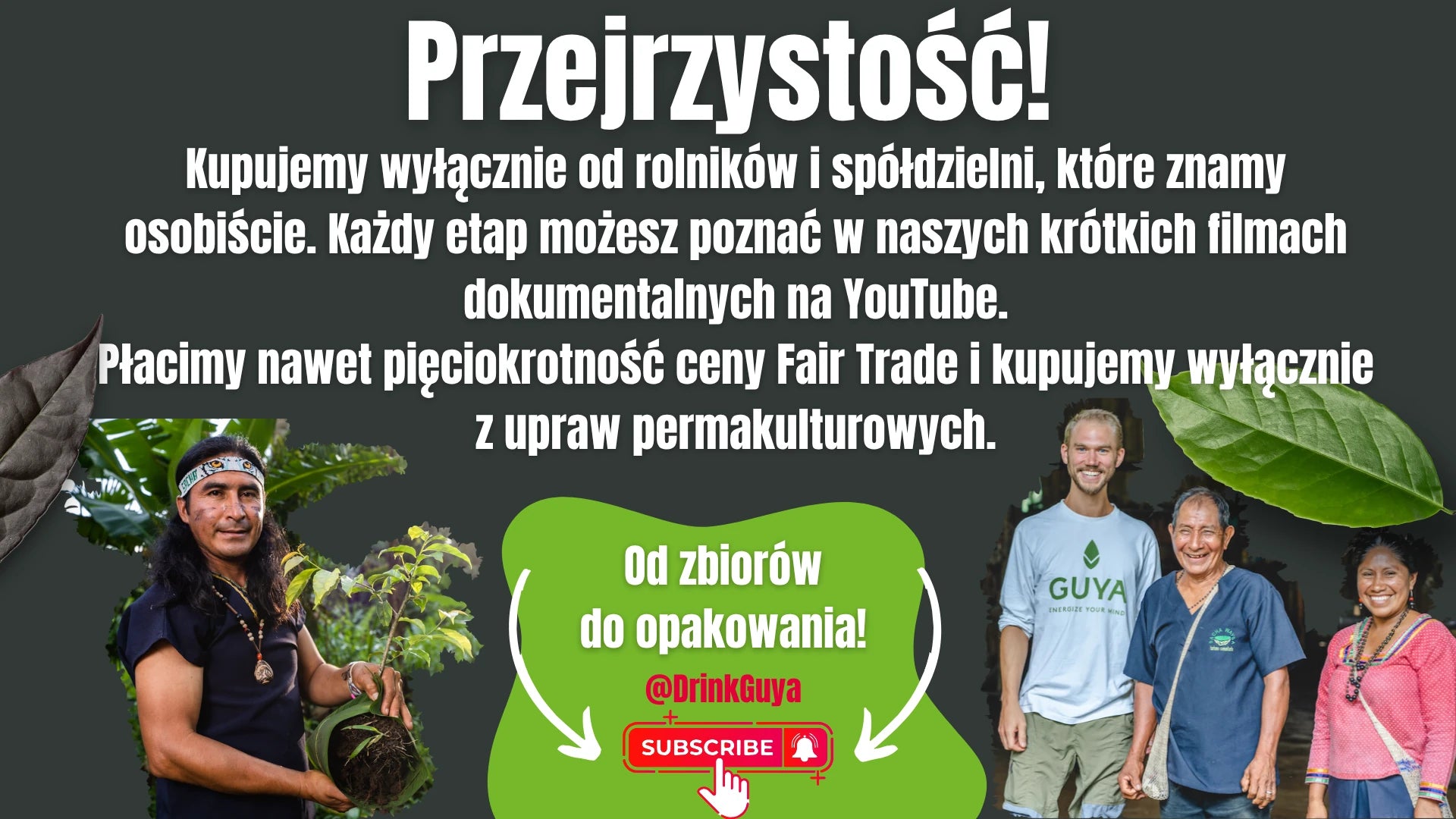 Przejrzystość GUYA: nasi partnerzy, uprawa permakulturowa i droga od zbiorów do opakowania.