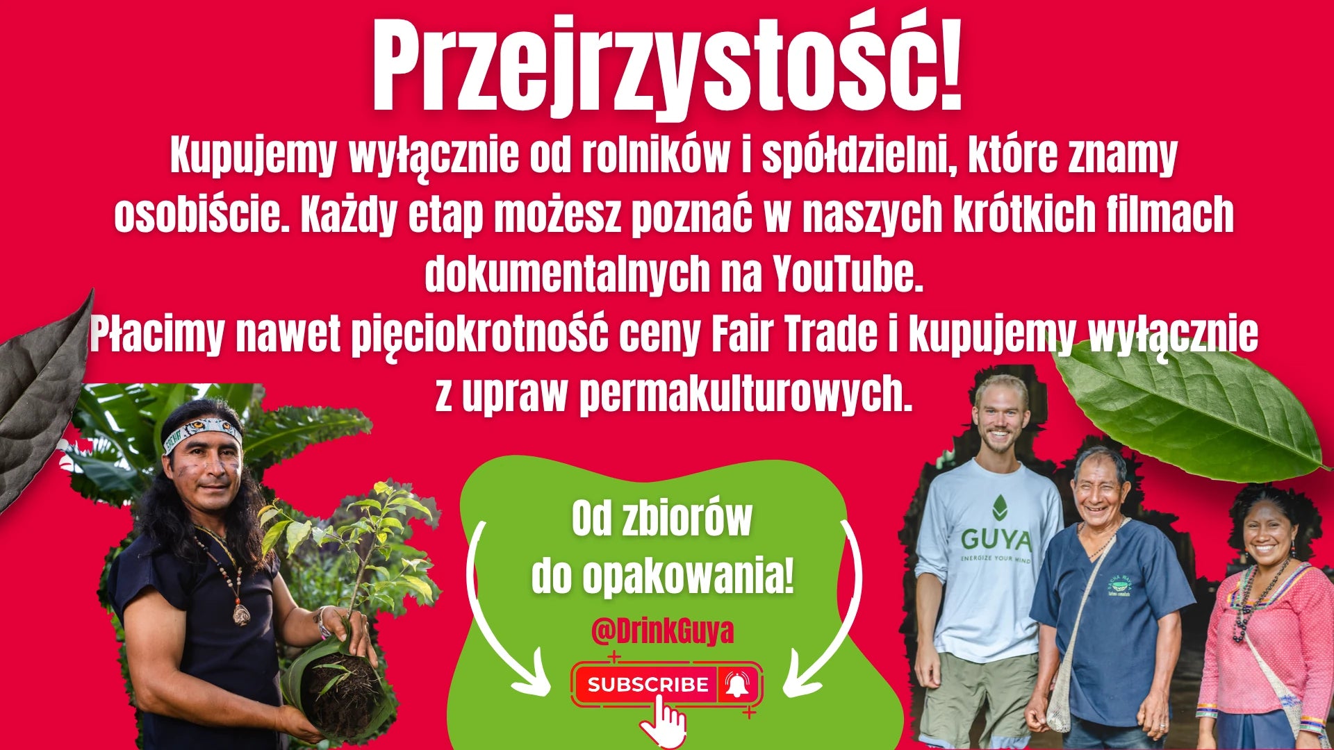 Przejrzystość GUYA: nasi partnerzy, uprawa permakulturowa i droga od zbiorów do opakowania.