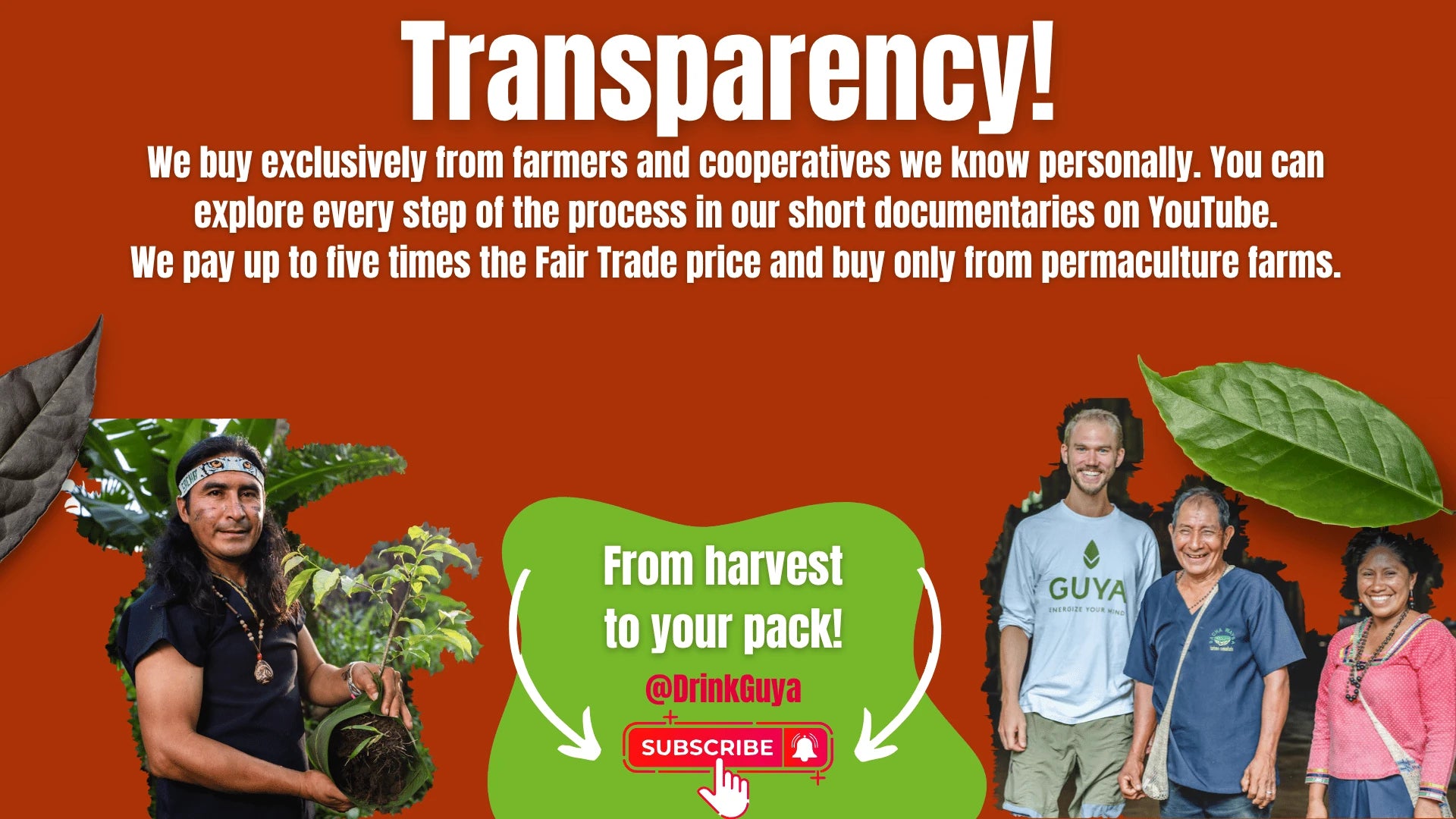 GUYA transparency: Our farming partners, permaculture and the journey from harvest to your pack.