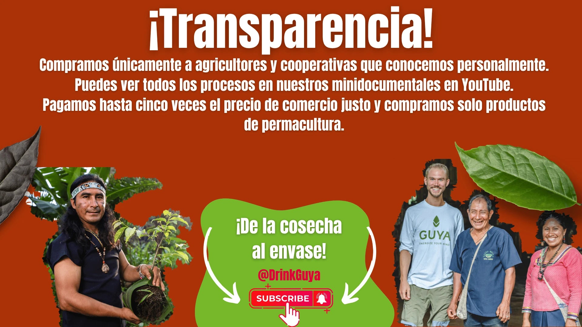 Transparencia GUYA: Nuestros agricultores, la permacultura y el camino de la cosecha al envase.