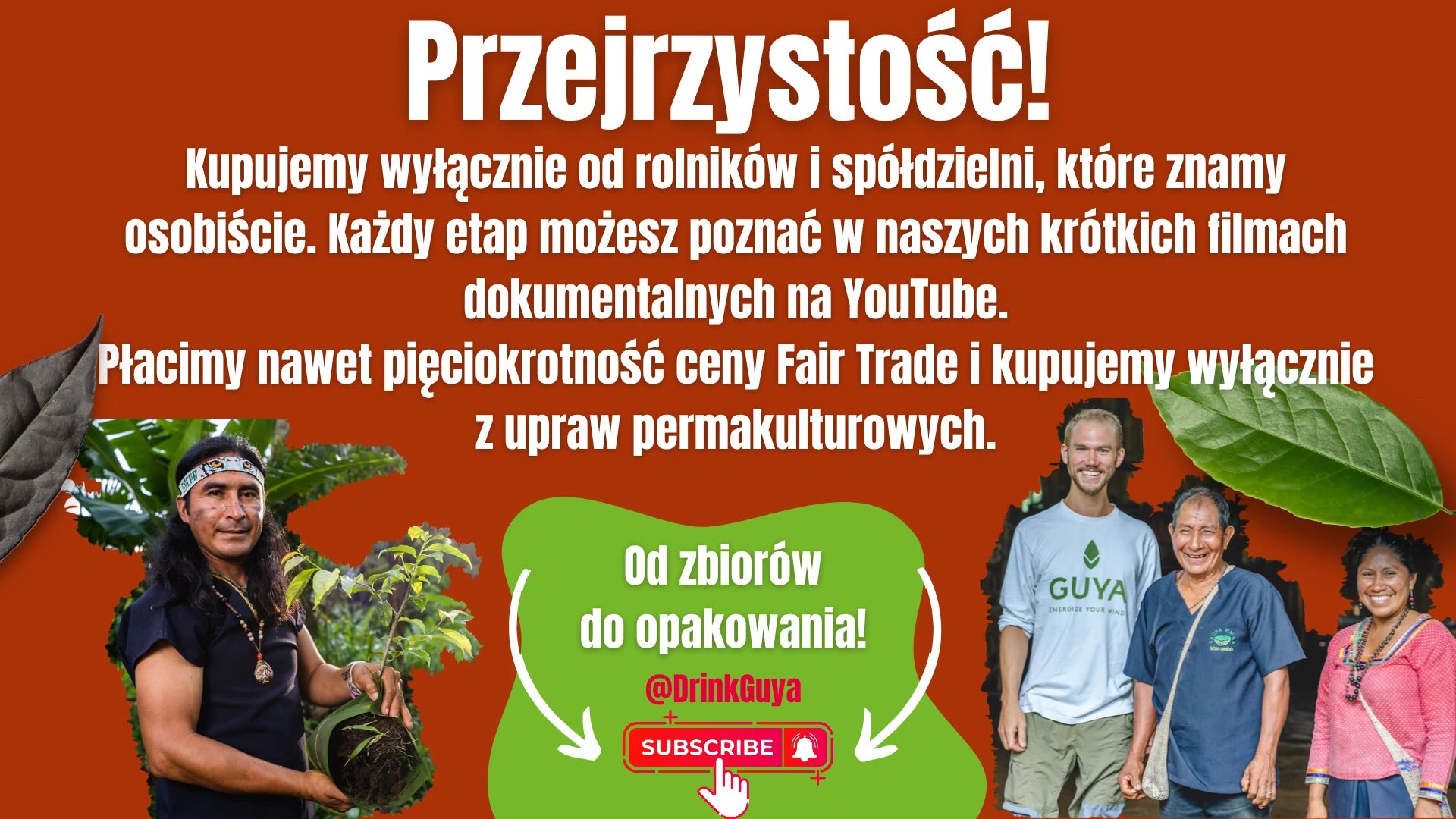 Przejrzystość GUYA: nasi partnerzy, uprawa permakulturowa i droga od zbiorów do opakowania.