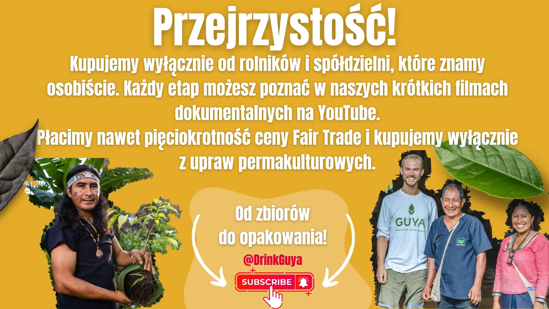 Przejrzystość GUYA: nasi partnerzy, uprawa permakulturowa i droga od zbiorów do opakowania.